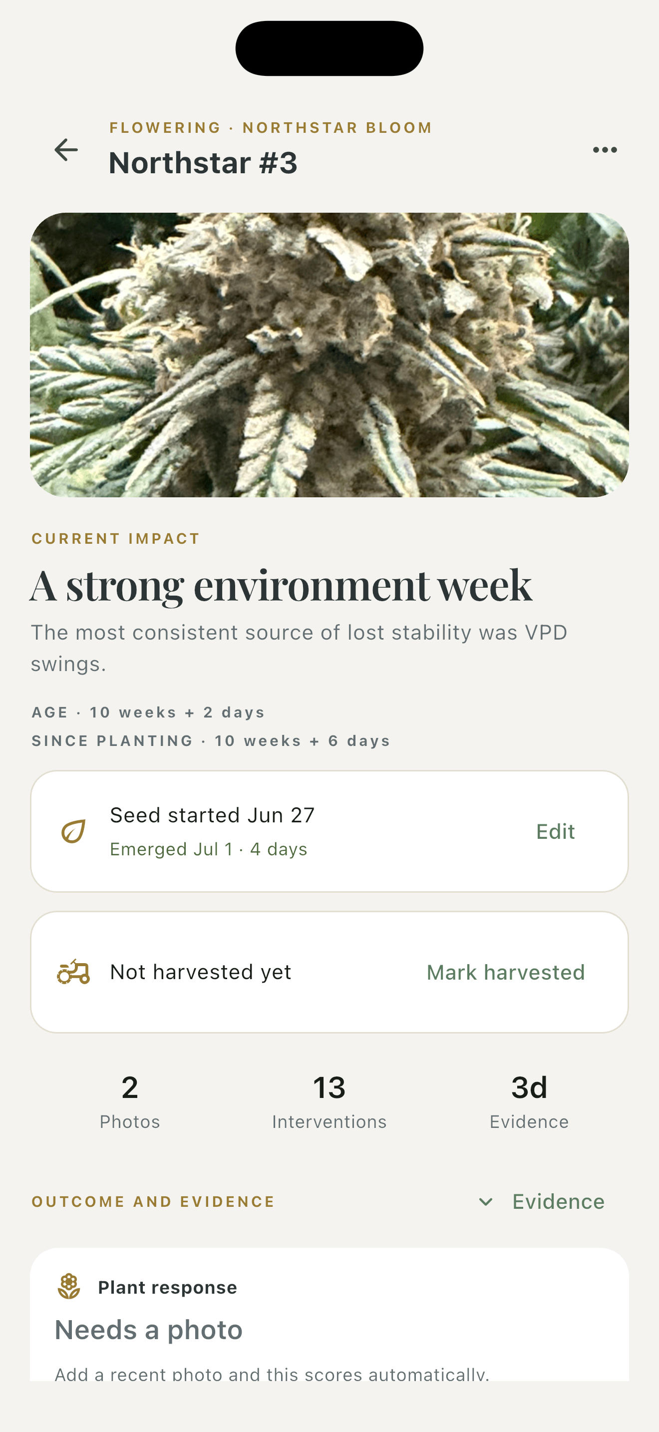Plant profile & growth story — Free & Pro, Light appearance