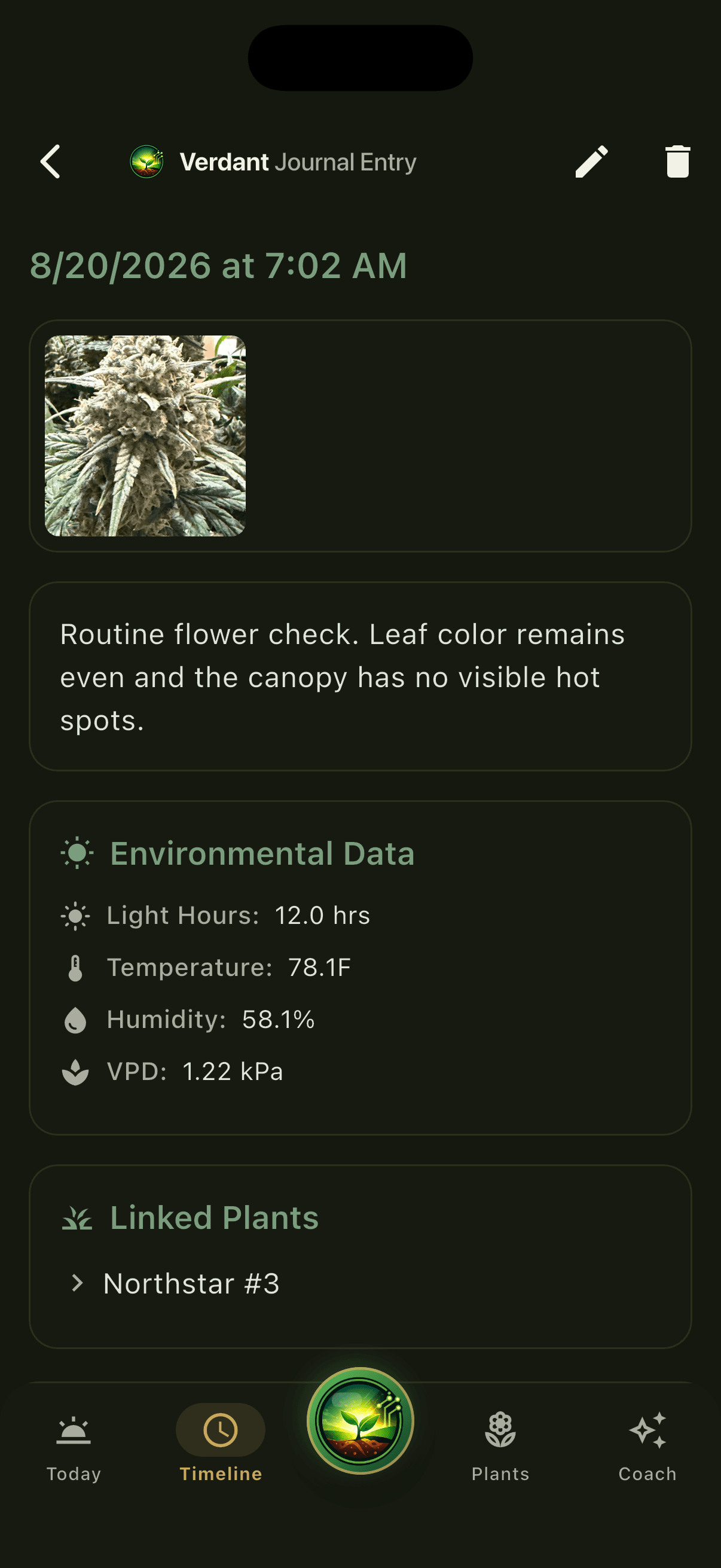 Owner-supplied flowering plant photo inside a Verdant journal entry